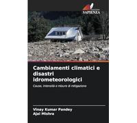 Cambiamenti climatici e disastri idrometeorologici: Cause, intensità e misure di mitigazione