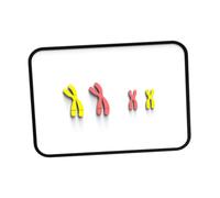 Cambiamenti cromosomici Modello Modello Easy Assembly Insegnamento Strumenti