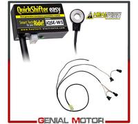 Cambio elettronico HEALTECH Centralina + Cablaggio DUCATI 999 R 2003 > 2006