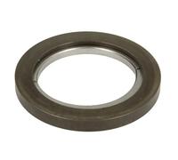 Kit di riparazione del riduttore planetario ZF 1499298176ZF