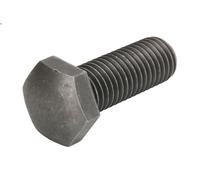 Cambio manuale, bullone ZF 736.010.072