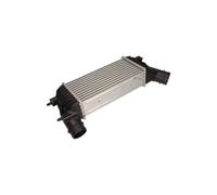 Cambio Raffreddamento per Citroën C8 Lancia Phedra 0384J9 0384N6 0384P1
