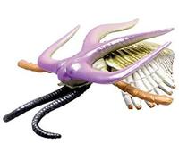 Cambrian Creatures Marrella Prehistoric Life Real Minifigures preferito nuovo