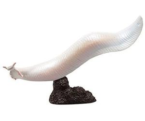 Cambrian Creatures Pikaia Prehistoric Life Real Minifigures preferito nuovo