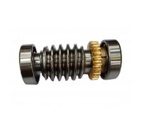 CAME 119RIA016 Vite Senza Fine Cuscinetto Per Motore FROG Interrato Ricambio