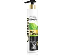Cameleo - Shampoo alla Cheratina - per Capelli Danneggiati, Secchi e Fragili - Eccellente Trattamento di Riparazione e Cura con Cheratina e olio di Argan - Protezione dal Calore - 250ml