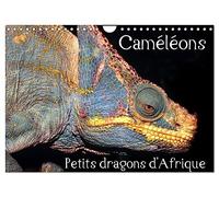 Caméléons - Petits dragons d'Afrique. (Calendrier mural 2026 DIN A4 vertical), CALVENDO calendrier mensuel: Douze portraits extraordinaires des plus surprenantes espèces de caméléons.