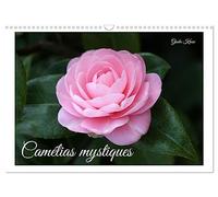 Camélias mystiques (Calendrier mural 2026 DIN A3 vertical), CALVENDO calendrier mensuel: La magie des fleurs de camélia