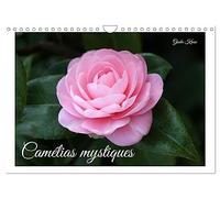 Camélias mystiques (Calendrier mural 2026 DIN A4 vertical), CALVENDO calendrier mensuel: La magie des fleurs de camélia