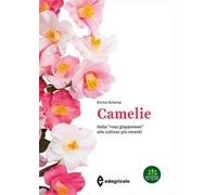 Camelie. Dalla «rosa giapponese» alle cultivar più recenti. Ediz. a colori [Pape