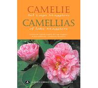 Camelie del Lago Maggiore. Estratto da «Antiche camelie»