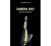 Camera 1057. Quella notte, d'improvviso