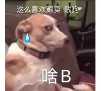 Camera D Aria Scooter Elettrico Tubo Interno 16. X 2.50 E- Moto per Scooter elettrici 16x2.5 con Accessori per Scooter elettrici in valvola piegata Camera D Aria Monopattino Elettrico