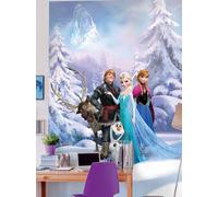 Camera da Letto Foto Carta Parati Disney Frozen 254x183cm Blu Murale Elsa Anna