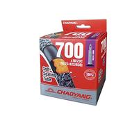 ChaoYang Camera D'aria Autosigillante 700x35-45