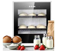 Camera di Lievitazione Elettrica 40L, Regolazione Temperatura e Umidità, Acciaio Inox di Alta Qualità, Per Panetteria e Pasticceria
