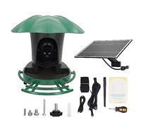 Camera mangiatoia per uccelli 4G 4G 2MP HD Waterproof Solar Ai Identifica la fotocamera per birdwatching intelligente per gli amanti degli uccelli giardino ABS ABS ABS ACCIAIO