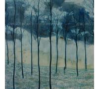 Camera Obscura - Desire Lines by Camera Obscura (2013) Audio CD