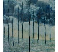 Camera Obscura Desire Lines (CD) Album