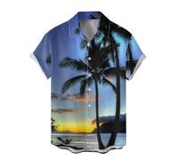 Camicia casual a maniche corte da uomo per vacanze in spiaggia top abito a maniche corte camicetta da vacanza camicia hawaiana estiva leggera stampa top, Aw, L