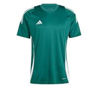 adidas Maglia Tiro 24 verde S