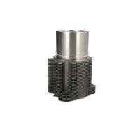 Camicia del cilindro KOLBENSCHMIDT 89495110