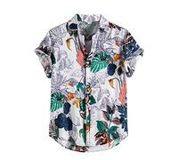 Camicia Di Lino Uomo Camicia Uomo Lino Manica Corta T Shirt Oversize Camicie Canotta Spalla Larga Nera Maglietta Giacca Abbigliamento Tennis Berlusconi Poveri Comunisti Verde Hawaiana Bambino Fresca