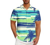 Camicia hawaiana da uomo, a maniche corte, da uomo, per il tempo libero, l'estate, le vacanze, i fiori, divertente, casual, da spiaggia, retrò, da uomo, a righe, con stampa a piume di pappagallo