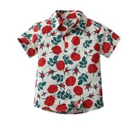 Camicia hawaiana per ragazzi con bottoni a maniche corte con stampa tropicale, per l'estate, la spiaggia, le vacanze, casual, per bambini all'aperto, Rosso, 9-10 Anni