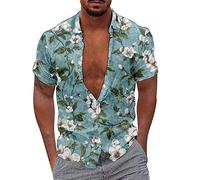 Camicia hawaiana slim fit da uomo stampa digitale 3D casual vestibilità ampia creativa camicia a maniche corte per spiaggia, vacanze, campeggio e viaggi all'aperto, blu cielo, 7XL