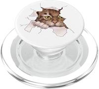 Camicia per gatti, maglietta per gatti, camicia di stoffa strappata per gatti, gattino, maglietta per gattini PopSockets PopGrip per MagSafe