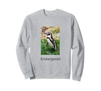 Camicia Pinguino in Pericolo di estinzione Galapagos PenguinPenguin Felpa