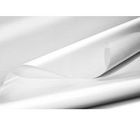 Camion Telo PVC Materiale 730g/M² Metraggio Senza Orlo Qualità Top