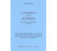 Cammina come un Buddha. Consigli per le complicazioni della vita