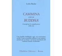 Cammina come un Buddha. Consigli per le complicazioni della vita