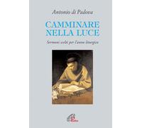 Camminare nella luce. Sermoni scelti per l'anno liturgico - 2009