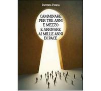 Camminare per tre anni e mezzo e arrivare ai mille anni di pace - Pinna, 2013,
