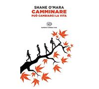 Camminare può cambiarci la vita