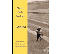 Cammini: LA STORIA DEI CAMMINI LE ANTICHE VIE DEI PELLEGRINI Cammini di Santiago di Compostela, Vie Francigene, Vie Romee, Cammini Francescani, Vie di ... FRONTIERA DEL TURISMO - IL TURISMO LENTO