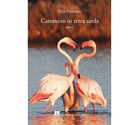 Cammino in terra sarda