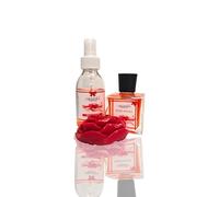 Camomilla Torino - Confezione Regalo Natale con Diffusore 100ml, Spray Ambiente 125ml e Candela Profumata - fragranze varie (Rosso Imperiale)