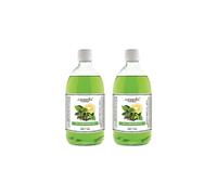 Camomilla Torino - Fei Fan Diffusore Ambiente 26 Fragranze Naturali e Intense ad Alto Concentrato di Essenza - Made in Italy Formato Ricarica da 500ml - 2 Flaconi (The e Bergamotto)