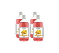 Camomilla Torino - Fei Fan Diffusore Ambiente 26 Fragranze Naturali e Intense ad Alto Concentrato di Essenza - Made in Italy Formato Ricarica da 500ml - 4 Flaconi (Narciso)