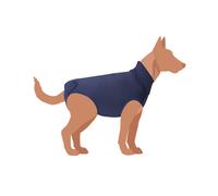 CAMON CANE TUTINA POST OPERATORIA "EXCLUSIVE" TG. 27 BLU
