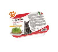 Camon Cat Erba Gatta con Semi di Grano - Camon Cat Erba Gatta con Semi di Grano - Confezione Da 300 Gr, 07/08/2025