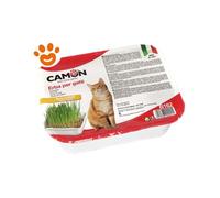 Camon Cat Erba Gatta con Semi di Orzo - Camon Cat Erba Gatta con Semi di Orzo - Confezione Da 300 Gr