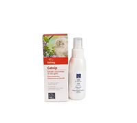 Camon | Catnip, Spray per Tiragraffi da 100ml, Estratto Concentrato di Nepeta Cataria, Educativo per Gatti