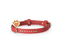 Camon Dog Collare Borchie Sfere Rosso (30x600) - Camon Dog Collare Borchie Sfere Rosso (30x600) - Confezione Da 1 Pezzo