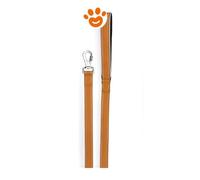 Camon Dog Guinzaglio Reflex - Camon Dog Guinzaglio Reflex - Arancione, (25x1200 mm)