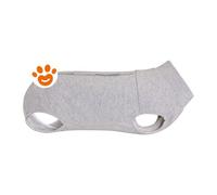 Camon Dog Tutina Post Operatoria - Camon Dog Tutina Post Operatoria - 36 cm